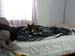 IMG-20150413-WA0000