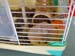 20160402_092954_HDR