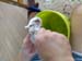 20160409_100914_HDR