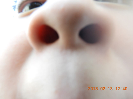 IMG-20180307-WA0007