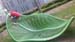 IMG-20180328-WA0014