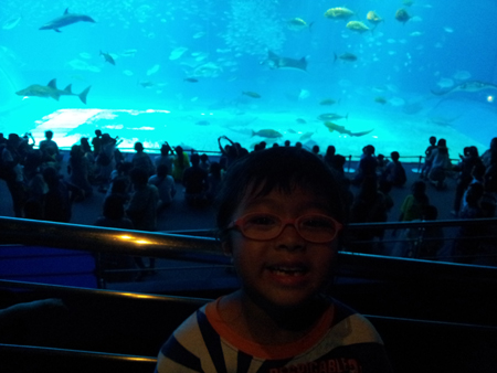 20140827_113455