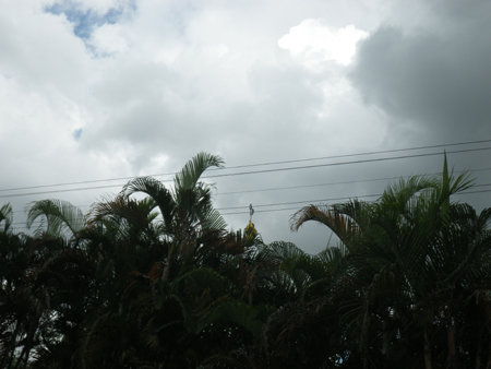 IMGP4831