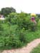 IMG-20150827-WA0017
