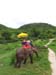 IMG-20150828-WA0006