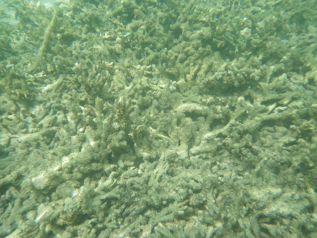 IMGP5908