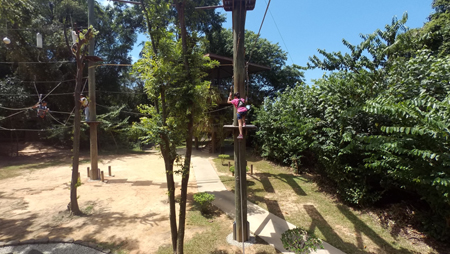 100_5276 - Copy