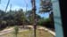 100_5248 - Copy