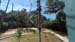 100_5249 - Copy