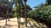 100_5275 - Copy