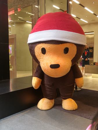 20151219_123714_HDR