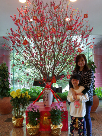 20160213_102817_HDR