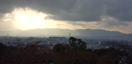 20190204_155432