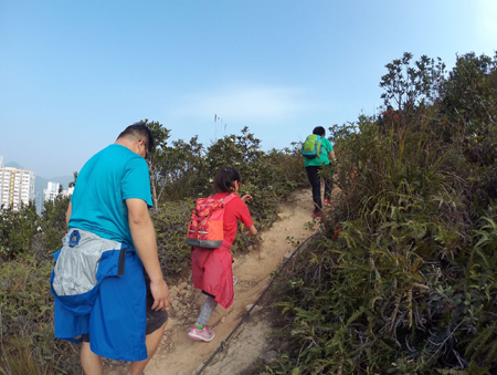 IMG-20180101-WA0087