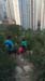 IMG-20180101-WA0038