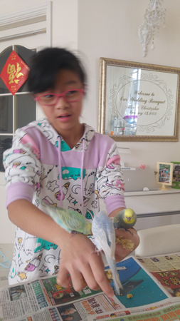 20190127_100538 - Copy