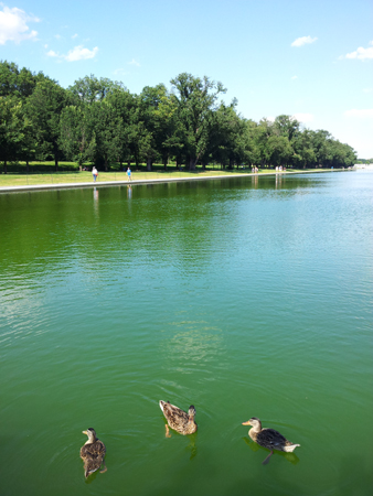 20130729_171812
