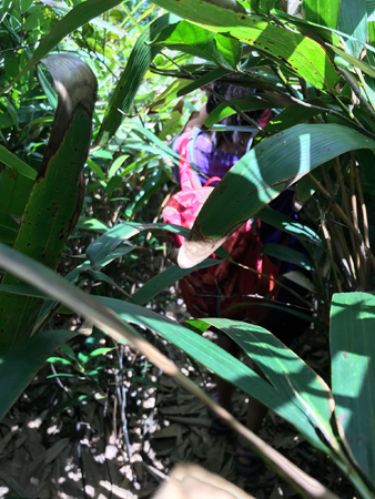 IMG-20180729-WA0019