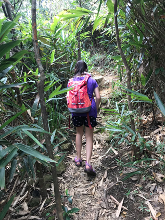 IMG-20180729-WA0035