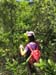 IMG-20180729-WA0018