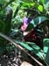 IMG-20180729-WA0019