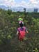 IMG-20180729-WA0022