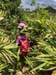 IMG-20180729-WA0027