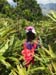 IMG-20180729-WA0028