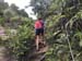 IMG-20180729-WA0037