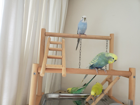 20190727_103056