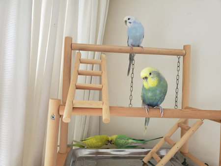 20190727_103104