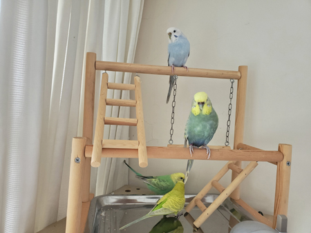 20190727_103119