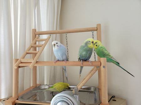 20190727_103239