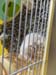 20160604_153030_HDR