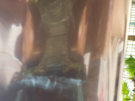 20200621_162937