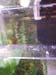20150317_195152