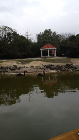 20170326_110303