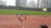 20170330_091412