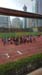 20170330_123357