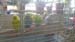 20190303_170753