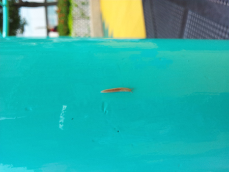 20130511_100850