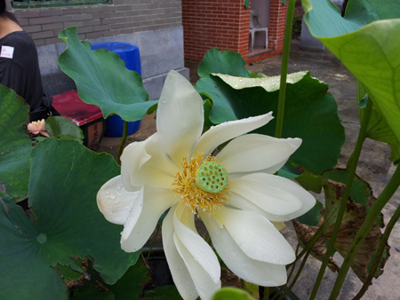 20130517_103307