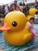 20130526_164508