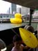 20130526_170643