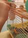 20160519_202948_HDR