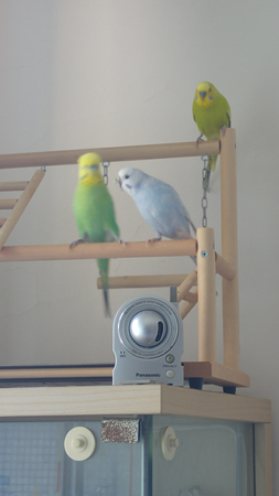20190511_140710