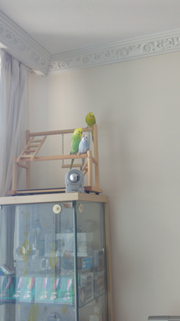 20190511_140722