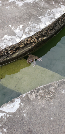 20190512_134811