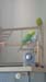 20190511_140719