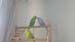 20190511_140813